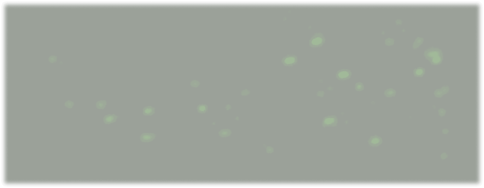 particles